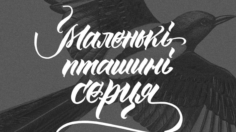 Обкладинка книжки "Маленькі пташині серця"